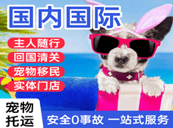 普陀山机场空运国际宠物托运 【国